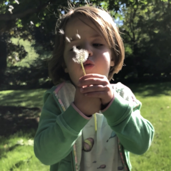 Lessons from the Emergency Room